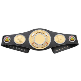 CHAMPIONSHIP BELT 2 - 0