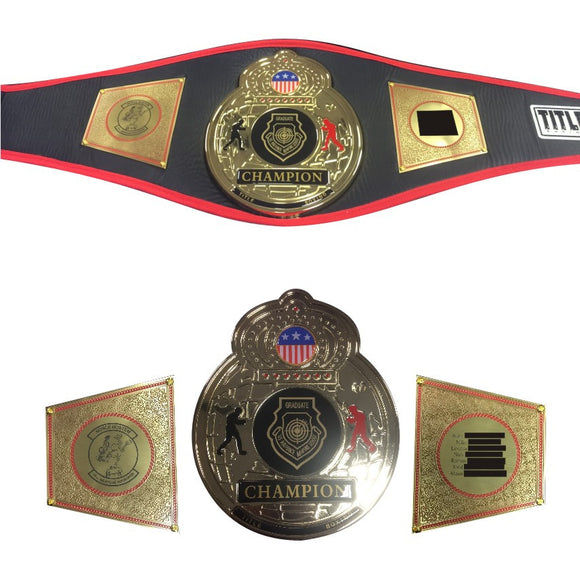 CHAMPIONSHIP BELT DECORATIONS