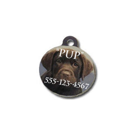 Pet Tags 