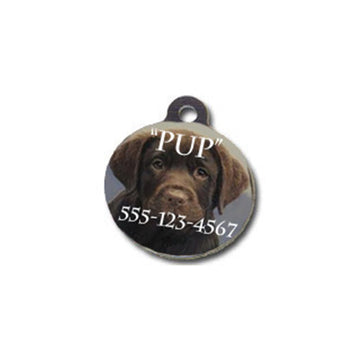 Pet Tags 