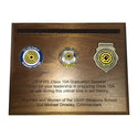 COIN INSET PLAQUES